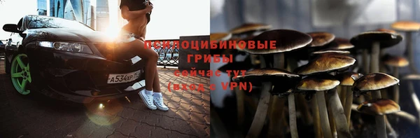 ПСИЛОЦИБИНОВЫЕ ГРИБЫ Касимов