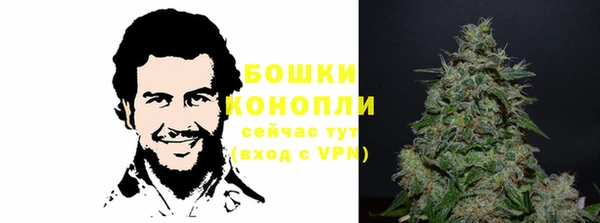 ПСИЛОЦИБИНОВЫЕ ГРИБЫ Касимов