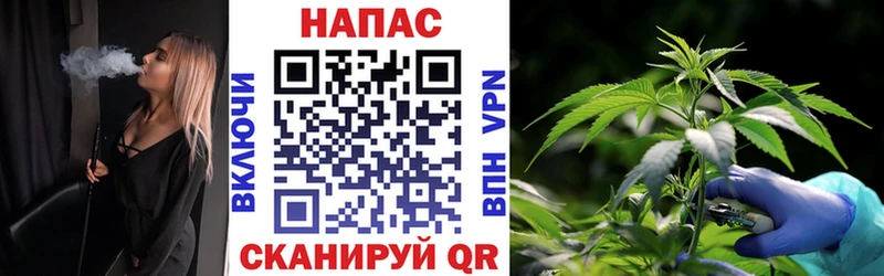 mega ссылки  Сясьстрой  МАРИХУАНА гибрид  где найти  